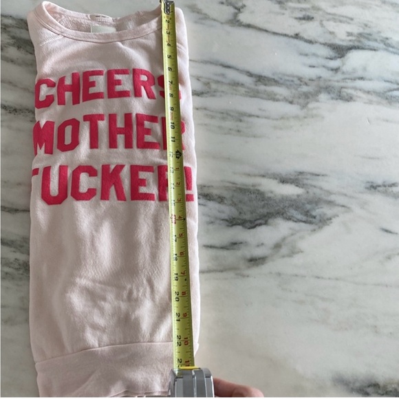 Mother Cozy Sweatshirt  - Soft Pink *EUC* sold out online. No flaws! Sassy vibe💕 - Picture 4 of 5